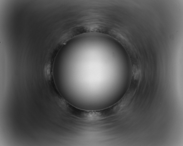 X0000089340670200706151044