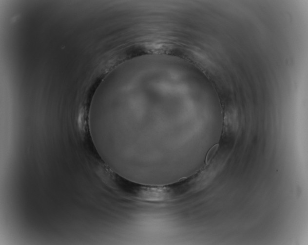 X0000089340671200706151044