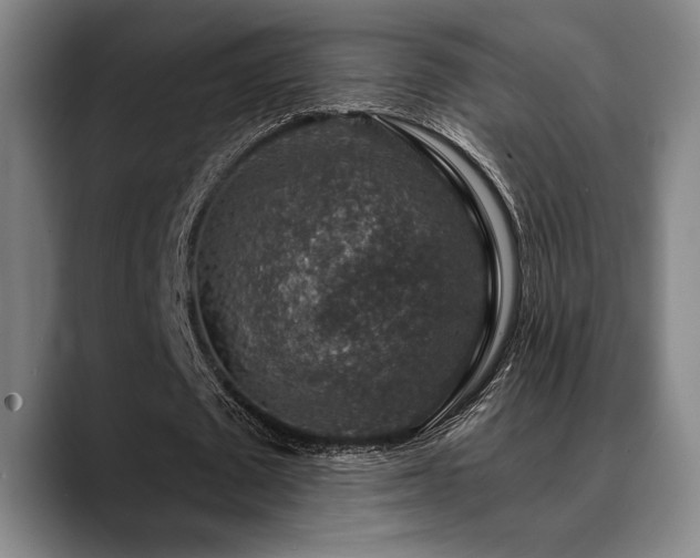 X0000089340673200706151044
