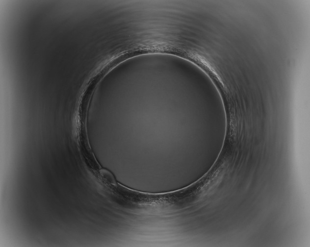 X0000089340674200706151044