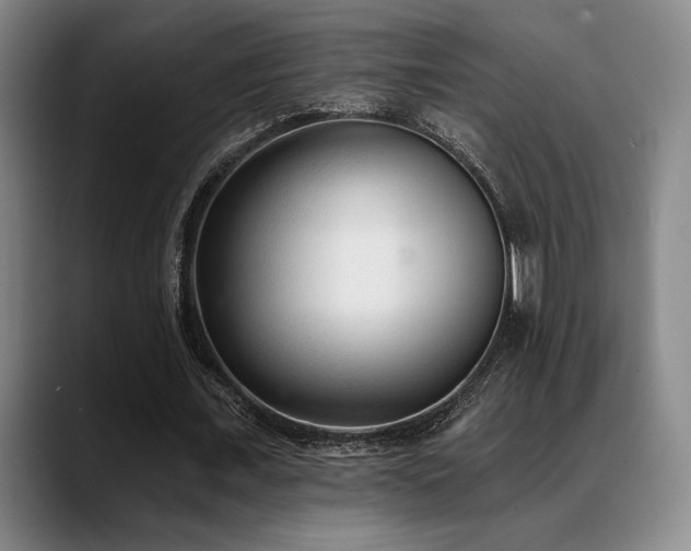 X0000089340675200706151044