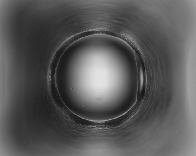 X0000089340676200706151044