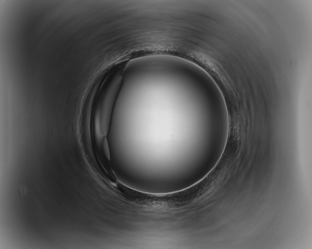 X0000089340677200706151044