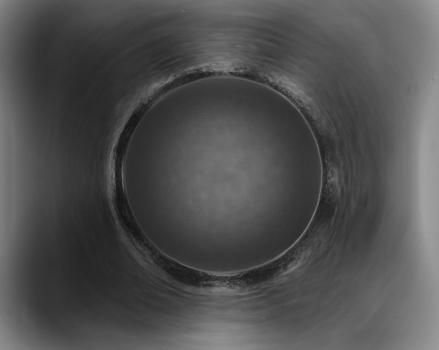 X0000089340678200706151044