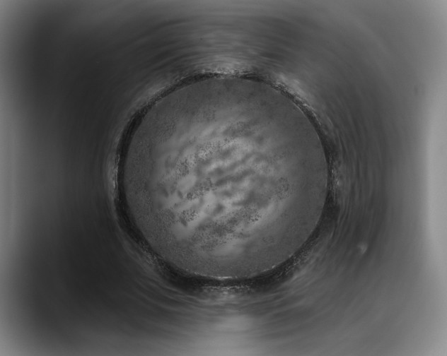 X0000089340679200706151044