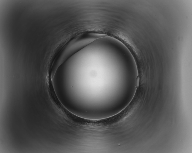 X0000089340681200706151044