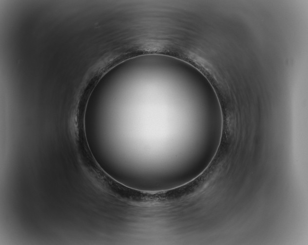 X0000089340682200706151044
