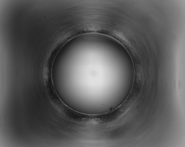 X0000089340683200706151044