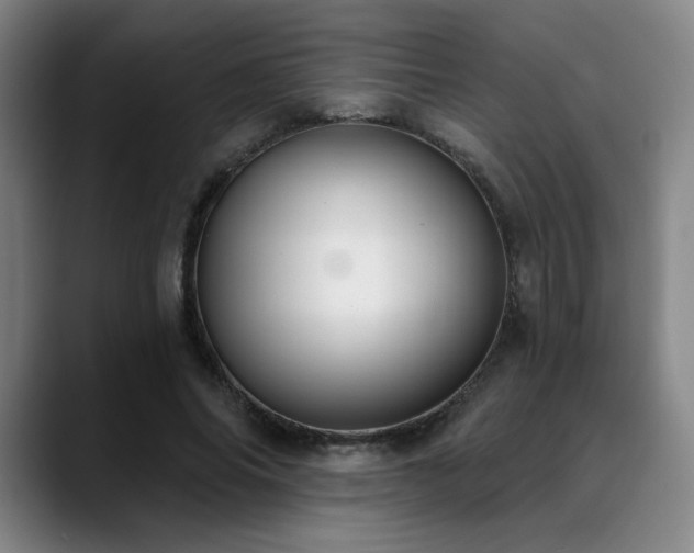 X0000089340686200706151044