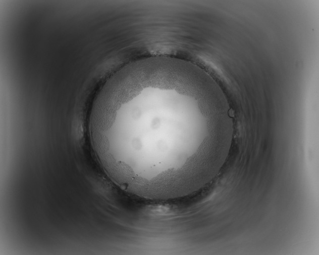 X0000089340687200706151044