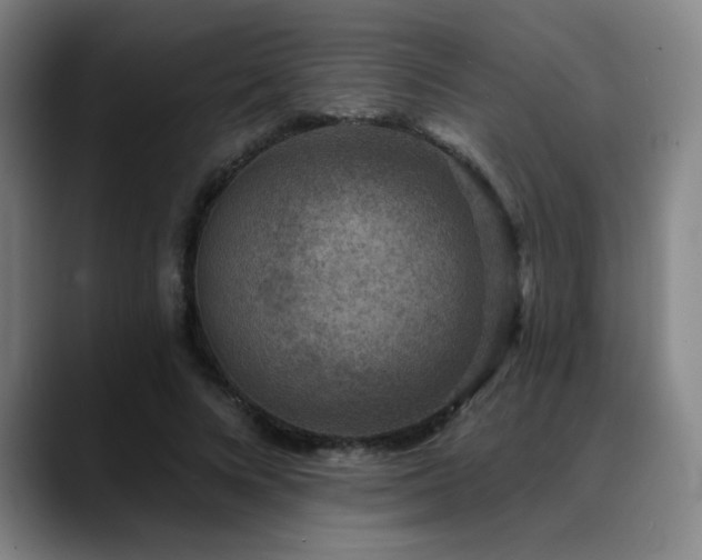 X0000089340688200706151044