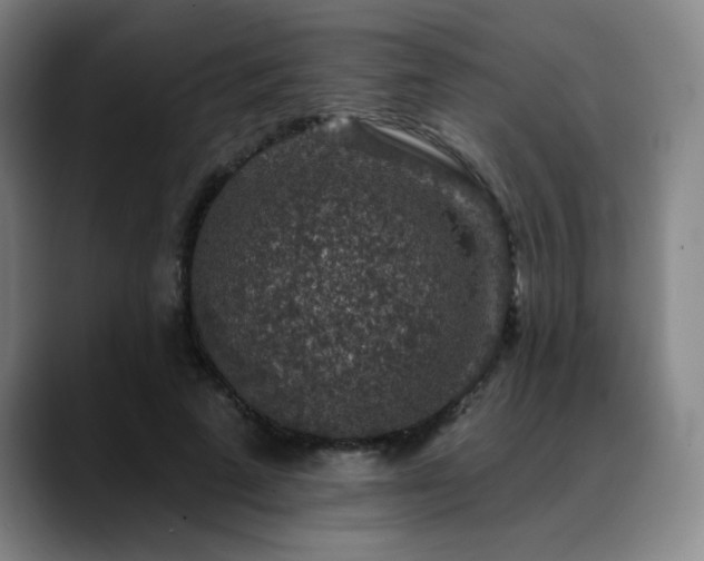 X0000089340689200706151044