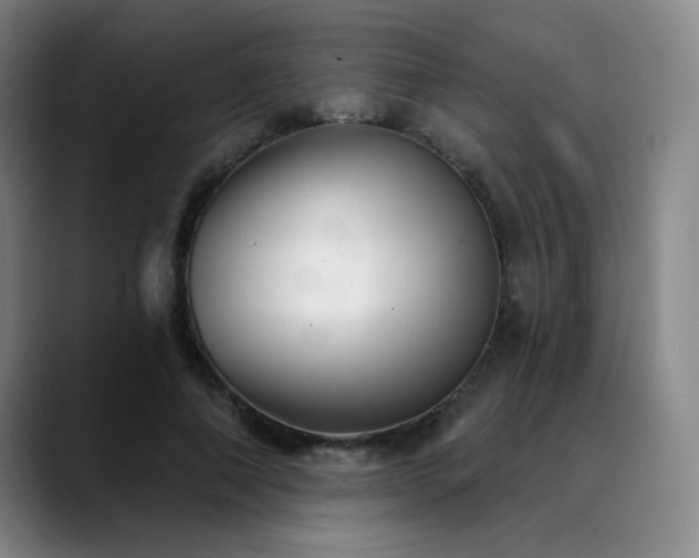 X0000089340690200706151044