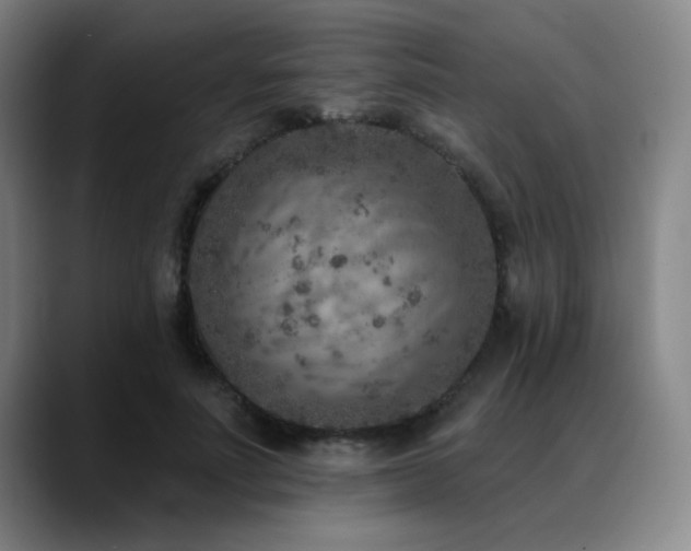 X0000089340691200706151044