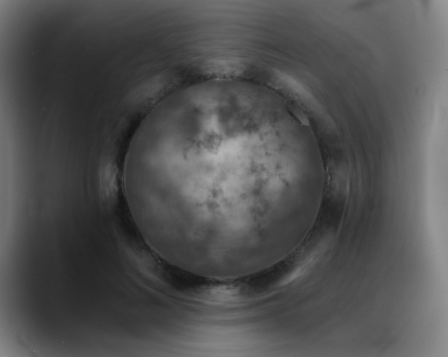 X0000089340692200706151044
