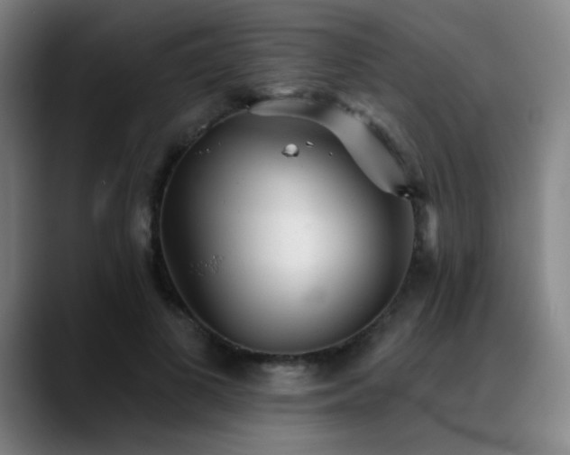 X0000089340693200706151044