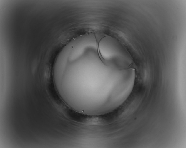 X0000089340695200706151044