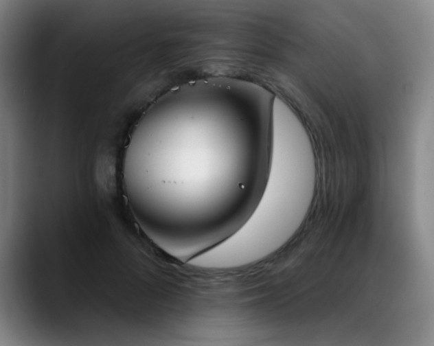 X0000089340696200706151044