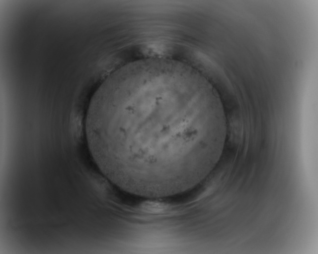 X0000089340699200706151043