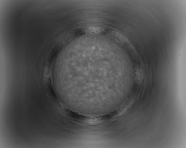 X0000089340701200706151043