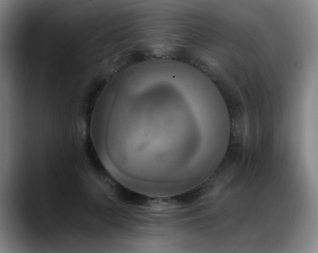 X0000089340703200706151043