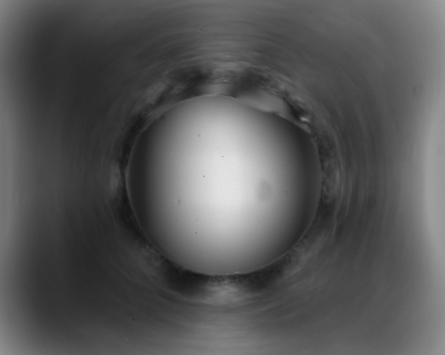 X0000089340704200706151043