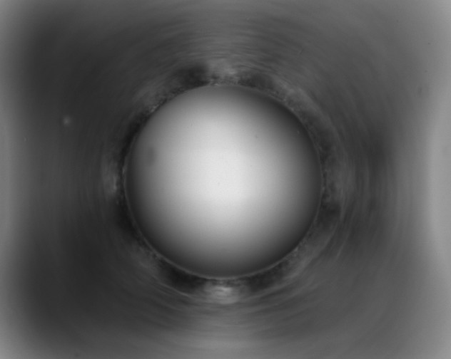 X0000089340706200706151043