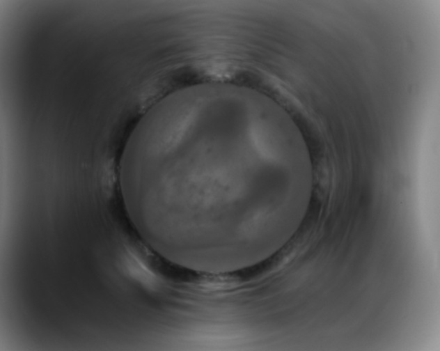 X0000089340707200706151043