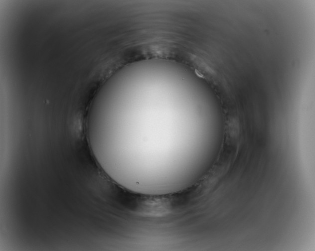 X0000089340709200706151043