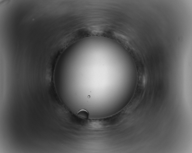 X0000089340710200706151043