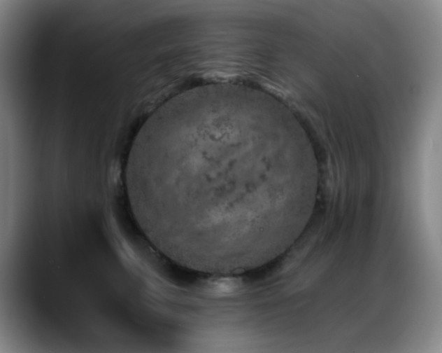 X0000089340711200706151043
