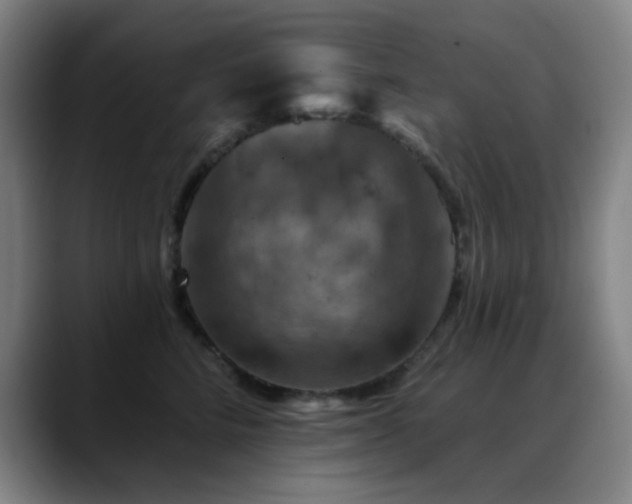 X0000089340712200706151043