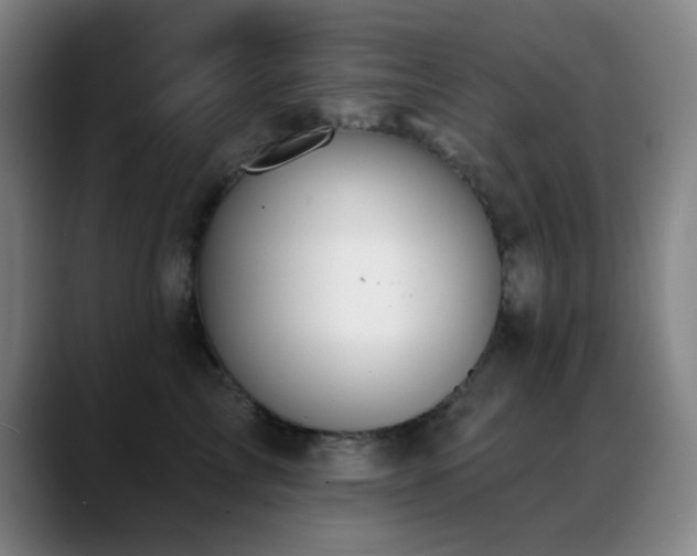 X0000089340713200706151043