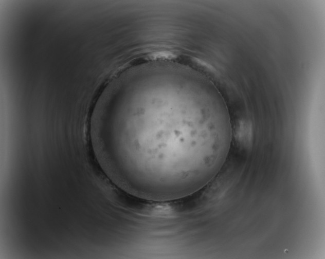 X0000089340715200706151043