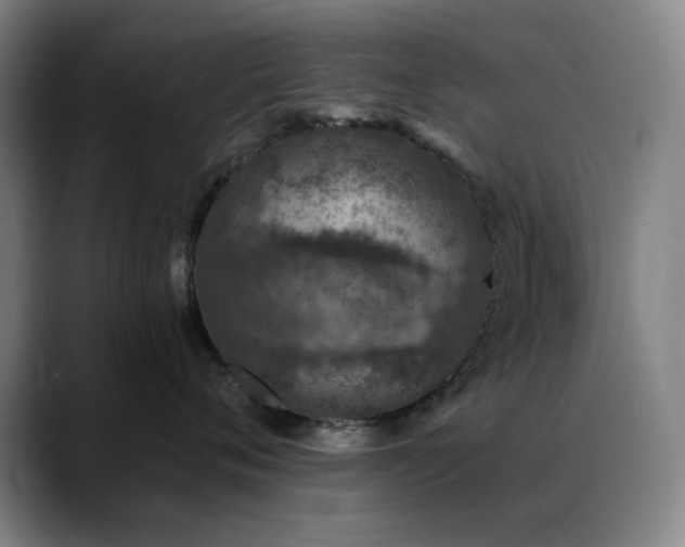X0000089340720200706151043