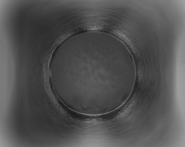 X0000089340721200706151043