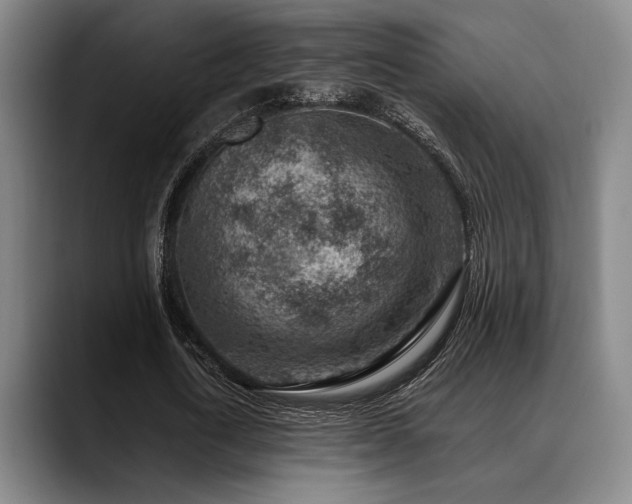 X0000089340722200706151043