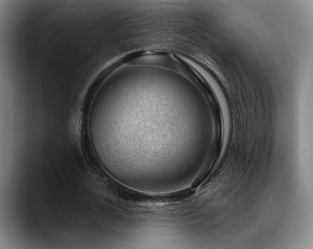 X0000089340724200706151043