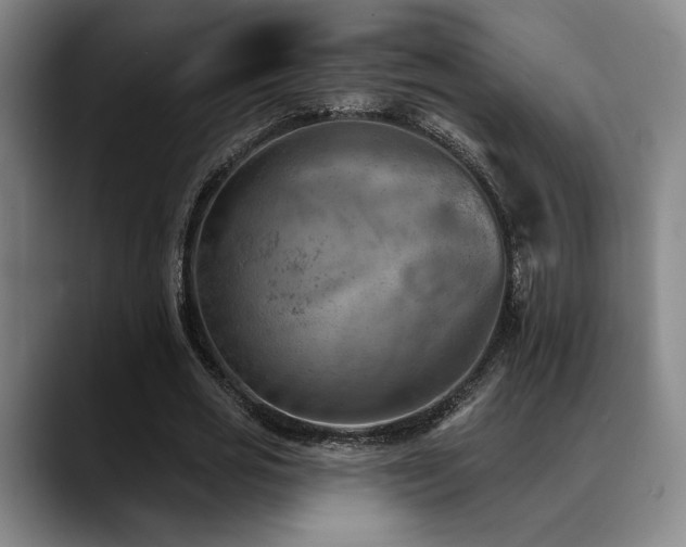 X0000089340725200706151043