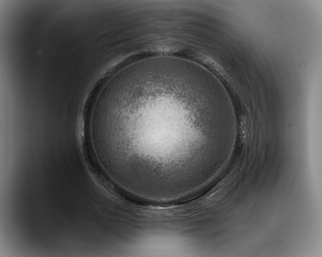 X0000089340726200706151043