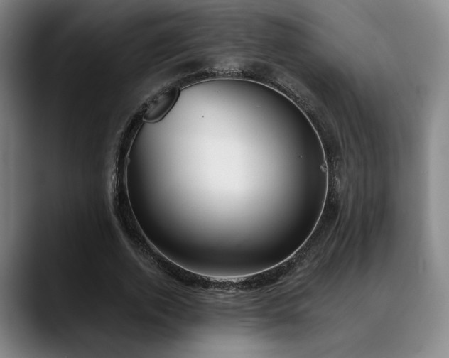 X0000089340728200706151043
