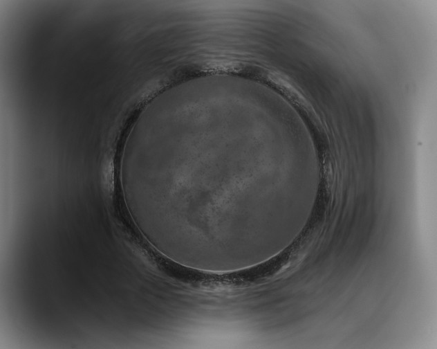 X0000089340729200706151043