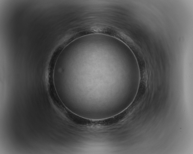 X0000089340730200706151043