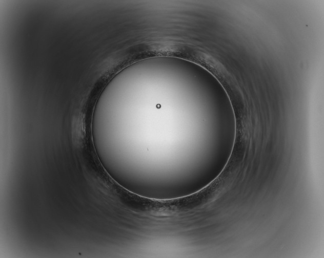 X0000089340731200706151043