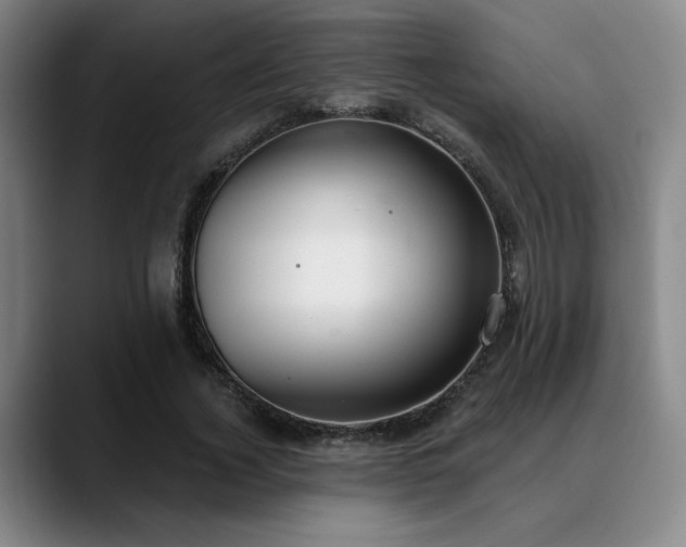 X0000089340732200706151043