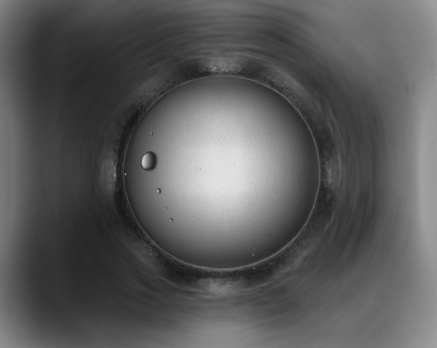 X0000089340733200706151043