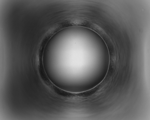 X0000089340734200706151043