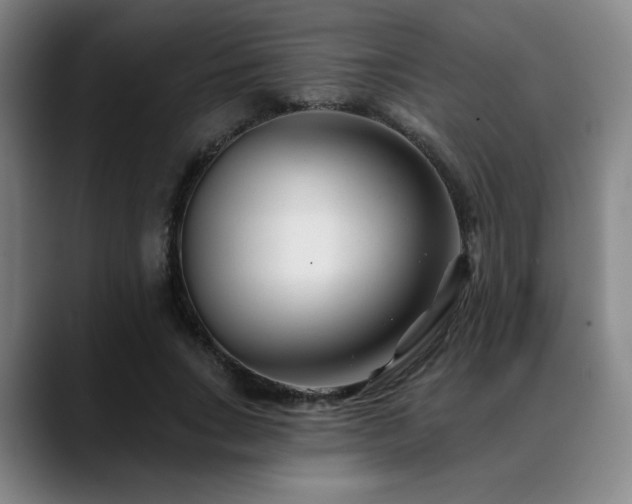 X0000089340735200706151043