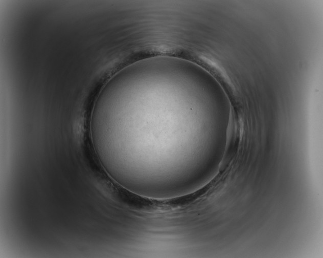 X0000089340736200706151043