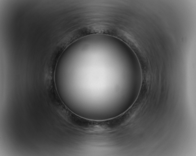 X0000089340737200706151043